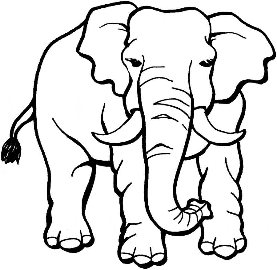 Coloring page: elephant | Free printable downloads from ...
