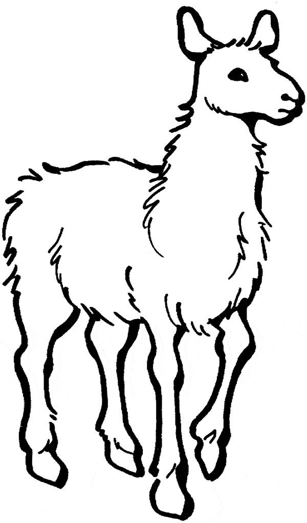 llama-free-printable-downloads-from-choretell